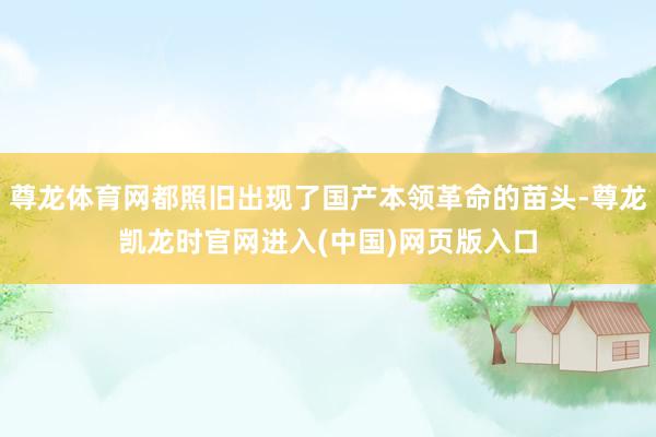 尊龙体育网都照旧出现了国产本领革命的苗头-尊龙凯龙时官网进入(中国)网页版入口