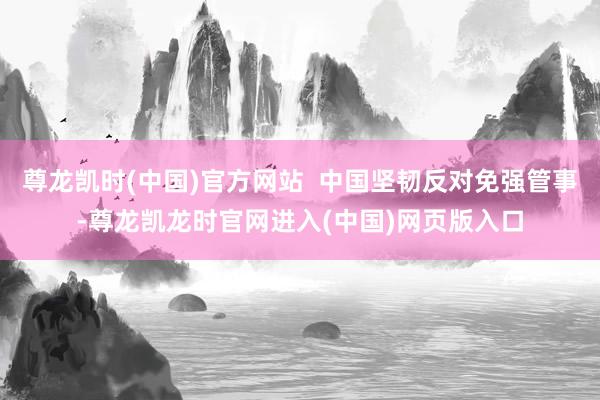 尊龙凯时(中国)官方网站  中国坚韧反对免强管事-尊龙凯龙时官网进入(中国)网页版入口