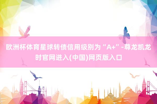 欧洲杯体育星球转债信用级别为“A+”-尊龙凯龙时官网进入(中国)网页版入口