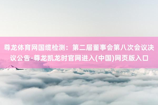 尊龙体育网国缆检测：第二届董事会第八次会议决议公告-尊龙凯龙时官网进入(中国)网页版入口