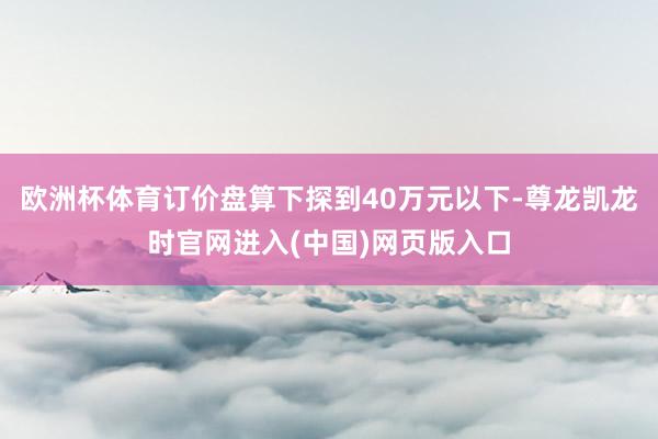 欧洲杯体育订价盘算下探到40万元以下-尊龙凯龙时官网进入(中国)网页版入口