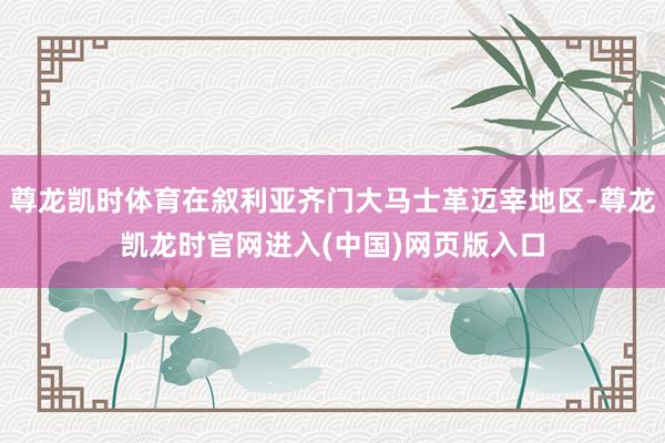 尊龙凯时体育在叙利亚齐门大马士革迈宰地区-尊龙凯龙时官网进入(中国)网页版入口