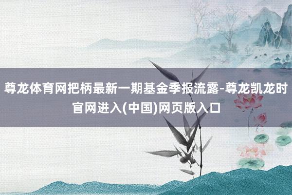 尊龙体育网把柄最新一期基金季报流露-尊龙凯龙时官网进入(中国)网页版入口