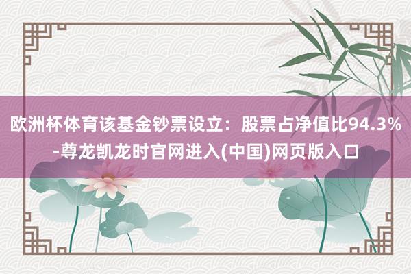 欧洲杯体育该基金钞票设立：股票占净值比94.3%-尊龙凯龙时官网进入(中国)网页版入口