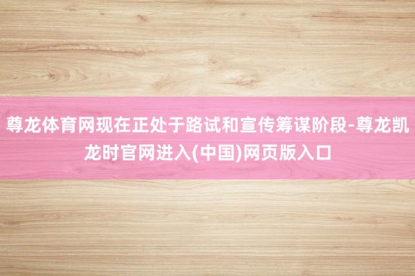 尊龙体育网现在正处于路试和宣传筹谋阶段-尊龙凯龙时官网进入(中国)网页版入口