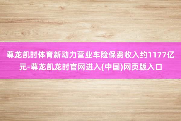 尊龙凯时体育新动力营业车险保费收入约1177亿元-尊龙凯龙时官网进入(中国)网页版入口