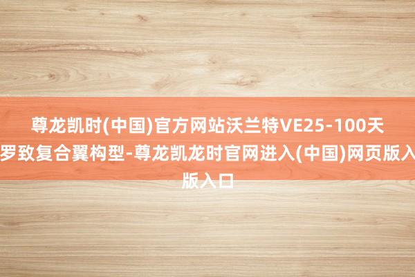 尊龙凯时(中国)官方网站沃兰特VE25-100天行罗致复合翼构型-尊龙凯龙时官网进入(中国)网页版入口