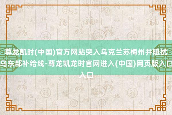 尊龙凯时(中国)官方网站突入乌克兰苏梅州并阻扰乌东部补给线-尊龙凯龙时官网进入(中国)网页版入口