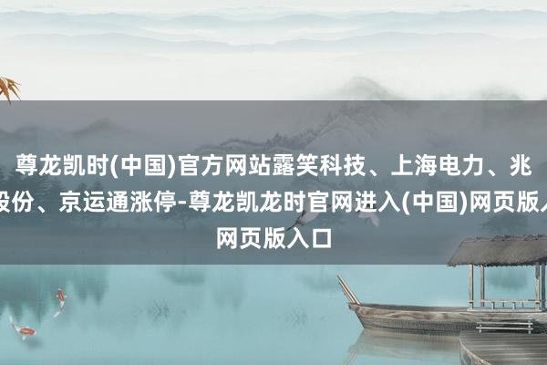 尊龙凯时(中国)官方网站露笑科技、上海电力、兆新股份、京运通涨停-尊龙凯龙时官网进入(中国)网页版入口