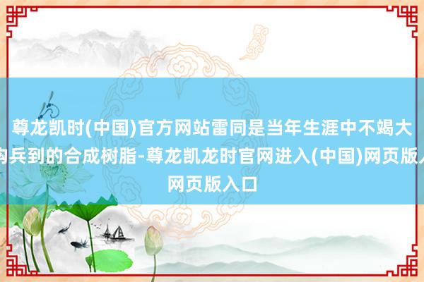 尊龙凯时(中国)官方网站雷同是当年生涯中不竭大致构兵到的合成树脂-尊龙凯龙时官网进入(中国)网页版入口