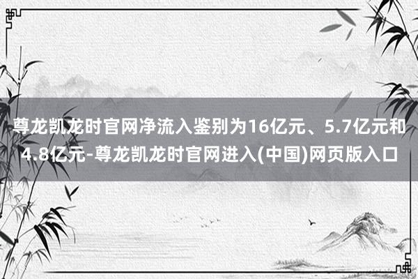 尊龙凯龙时官网净流入鉴别为16亿元、5.7亿元和4.8亿元-尊龙凯龙时官网进入(中国)网页版入口