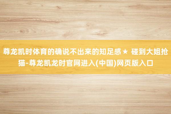 尊龙凯时体育的确说不出来的知足感★ 碰到大姐抢猫-尊龙凯龙时官网进入(中国)网页版入口