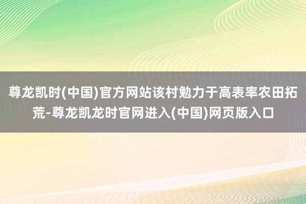 尊龙凯时(中国)官方网站该村勉力于高表率农田拓荒-尊龙凯龙时官网进入(中国)网页版入口