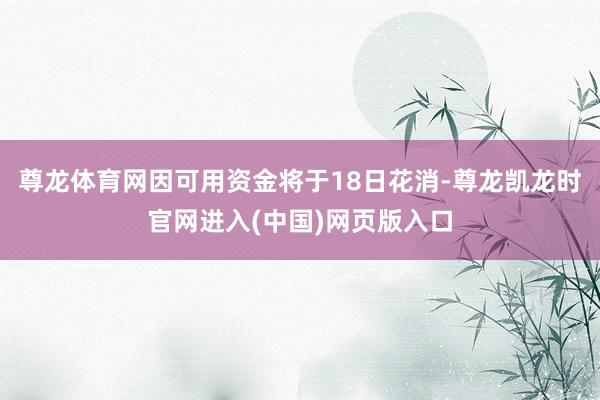 尊龙体育网因可用资金将于18日花消-尊龙凯龙时官网进入(中国)网页版入口