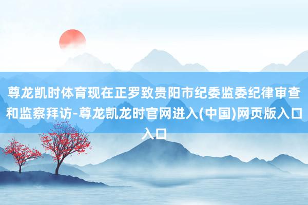 尊龙凯时体育现在正罗致贵阳市纪委监委纪律审查和监察拜访-尊龙凯龙时官网进入(中国)网页版入口