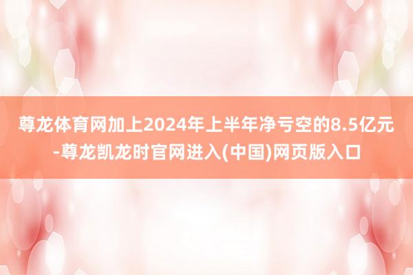 尊龙体育网加上2024年上半年净亏空的8.5亿元-尊龙凯龙时官网进入(中国)网页版入口