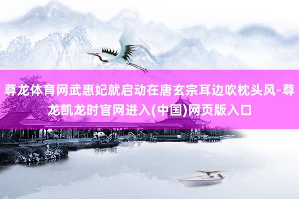 尊龙体育网武惠妃就启动在唐玄宗耳边吹枕头风-尊龙凯龙时官网进入(中国)网页版入口