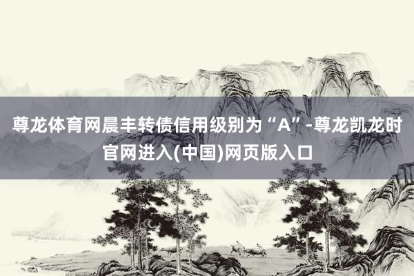 尊龙体育网晨丰转债信用级别为“A”-尊龙凯龙时官网进入(中国)网页版入口