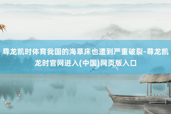 尊龙凯时体育我国的海草床也遭到严重破裂-尊龙凯龙时官网进入(中国)网页版入口